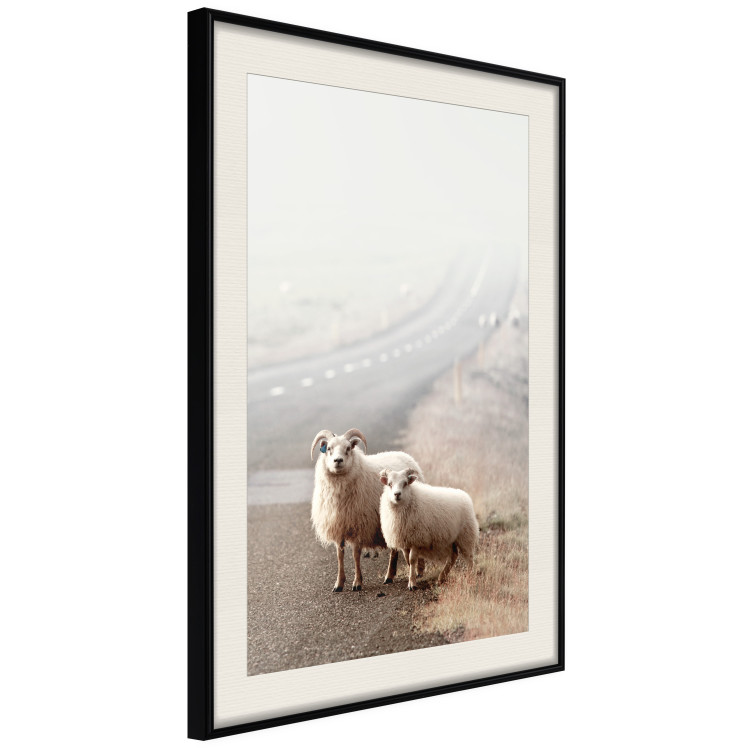 Wall Poster Extraordinary Hitchhikers - landscape of animals by the road against a field 130235 additionalImage 3