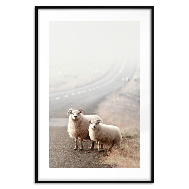 Wall Poster Extraordinary Hitchhikers - landscape of animals by the road against a field 130235 additionalImage 15