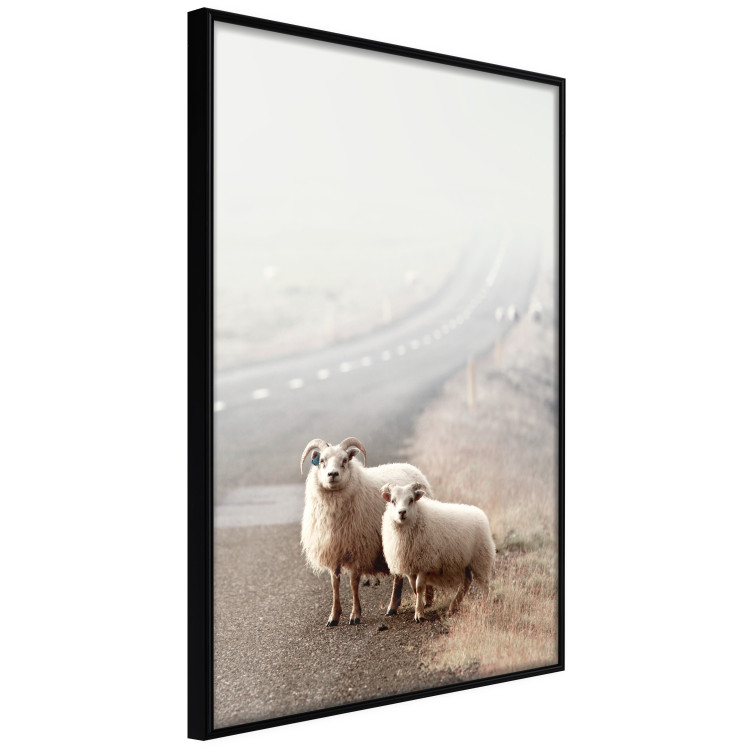 Wall Poster Extraordinary Hitchhikers - landscape of animals by the road against a field 130235 additionalImage 5