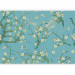 Wall Mural Flowers of Asia - blooming almond tree flowers on a blue background 142435 additionalThumb 1
