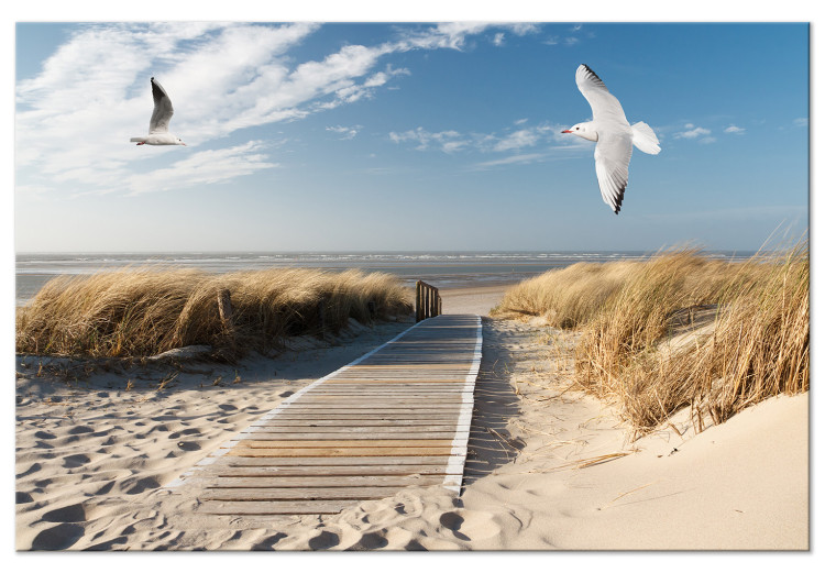 Canvas Beach and Seagulls (1-piece) Wide - summer sky and sea in the distance 143835