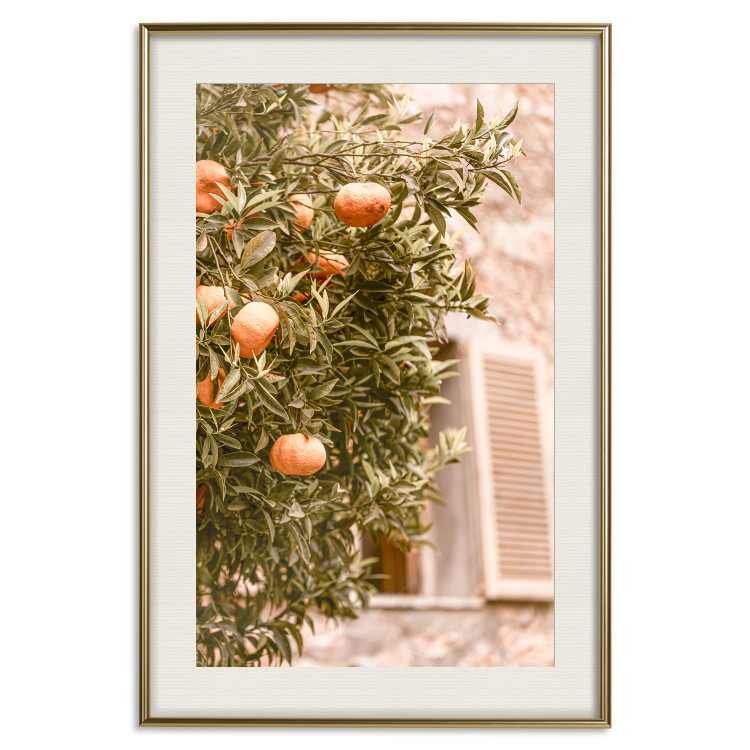 Poster Urban Greenery - Citrus Tree Against the Background of an Old Building 145235 additionalImage 24