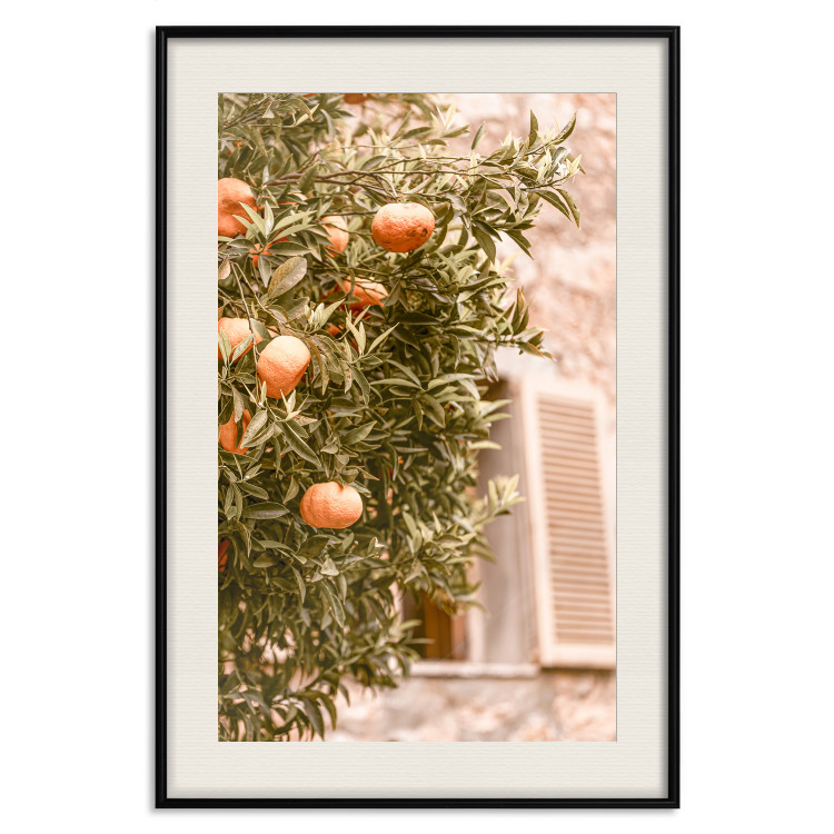 Poster Urban Greenery - Citrus Tree Against the Background of an Old Building 145235 additionalImage 27