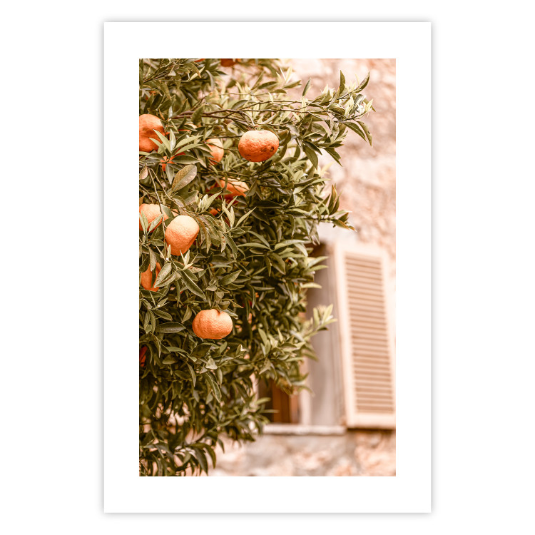 Poster Urban Greenery - Citrus Tree Against the Background of an Old Building 145235 additionalImage 21