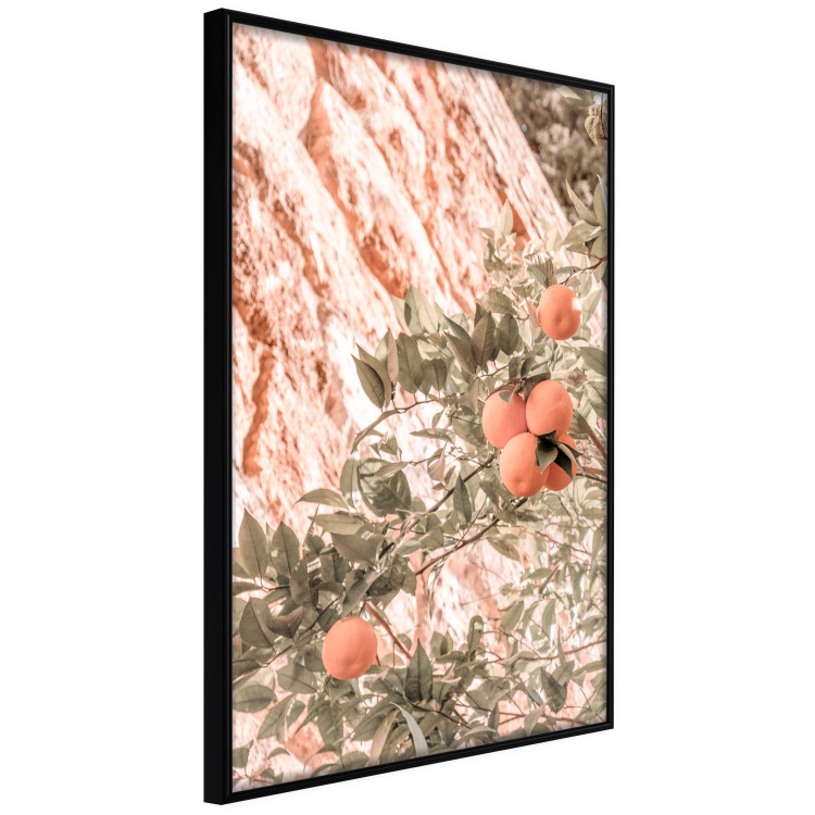 Wall Poster Young Clementines - Branch of a Mandarin Tree With Fruits 145335 additionalImage 7