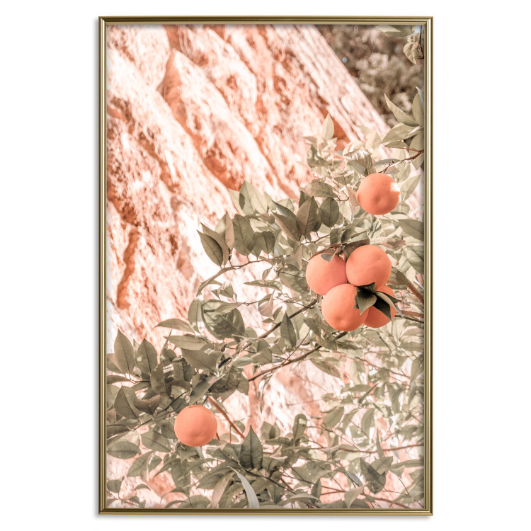 Wall Poster Young Clementines - Branch of a Mandarin Tree With Fruits 145335 additionalImage 18