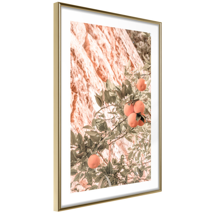 Wall Poster Young Clementines - Branch of a Mandarin Tree With Fruits 145335 additionalImage 8