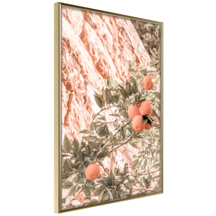 Wall Poster Young Clementines - Branch of a Mandarin Tree With Fruits 145335 additionalImage 6