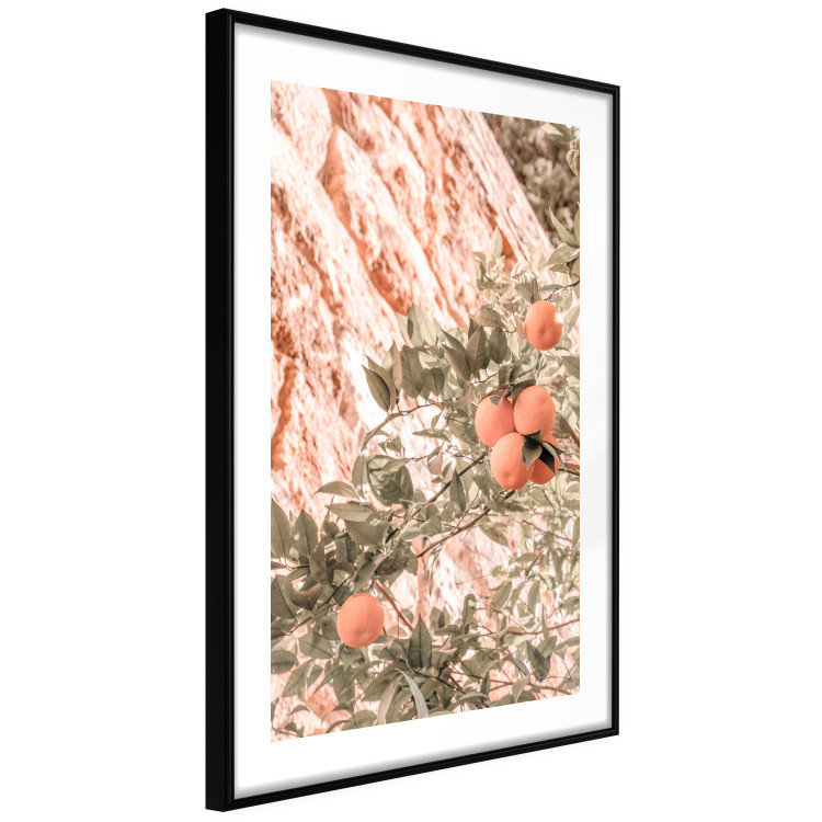 Wall Poster Young Clementines - Branch of a Mandarin Tree With Fruits 145335 additionalImage 5
