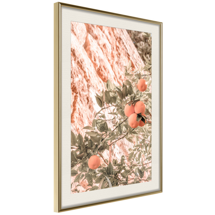 Wall Poster Young Clementines - Branch of a Mandarin Tree With Fruits 145335 additionalImage 11