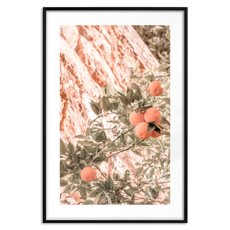 Wall Poster Young Clementines - Branch of a Mandarin Tree With Fruits 145335 additionalImage 20