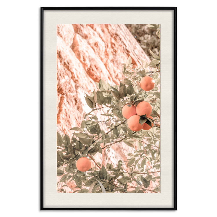 Wall Poster Young Clementines - Branch of a Mandarin Tree With Fruits 145335 additionalImage 20