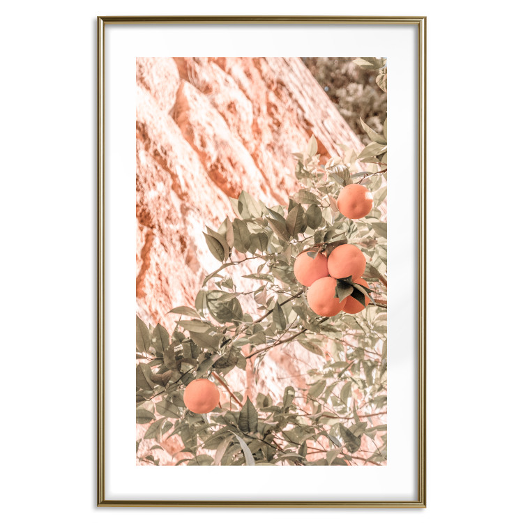 Wall Poster Young Clementines - Branch of a Mandarin Tree With Fruits 145335 additionalImage 19