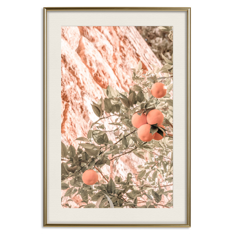 Wall Poster Young Clementines - Branch of a Mandarin Tree With Fruits 145335 additionalImage 25