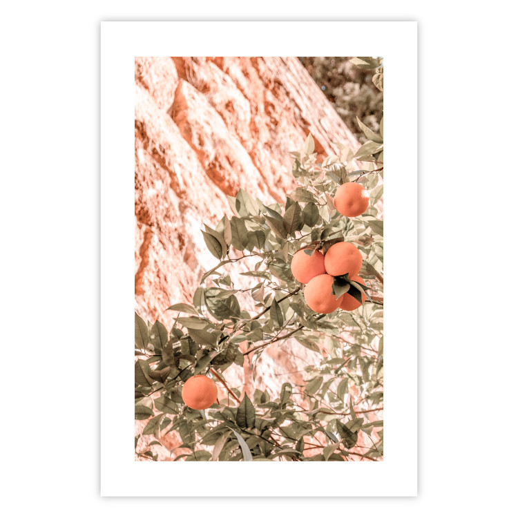 Wall Poster Young Clementines - Branch of a Mandarin Tree With Fruits 145335 additionalImage 21