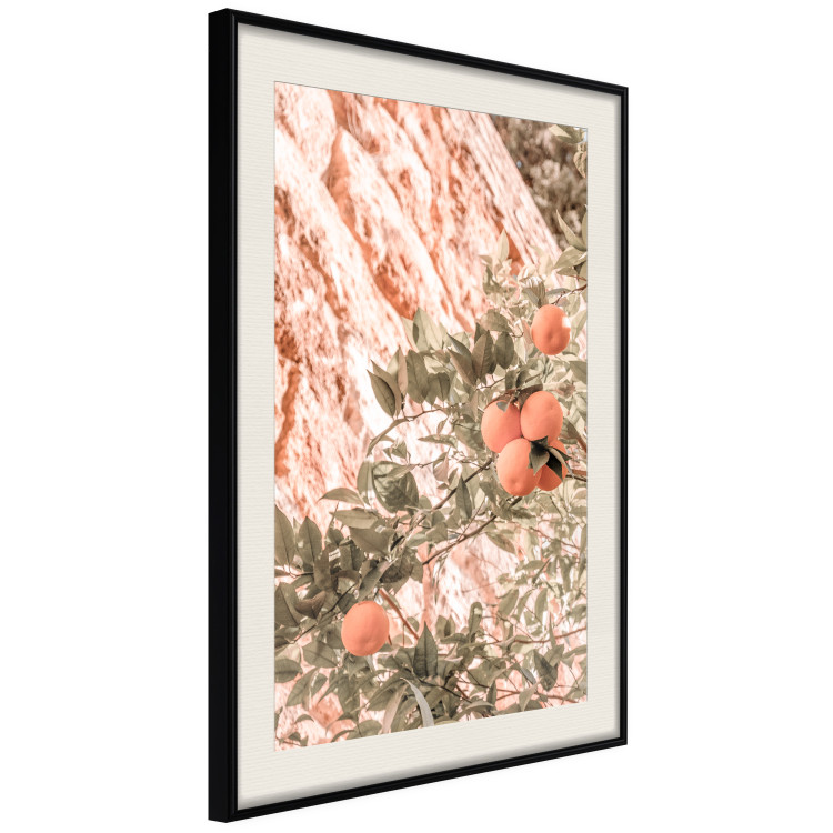Wall Poster Young Clementines - Branch of a Mandarin Tree With Fruits 145335 additionalImage 9