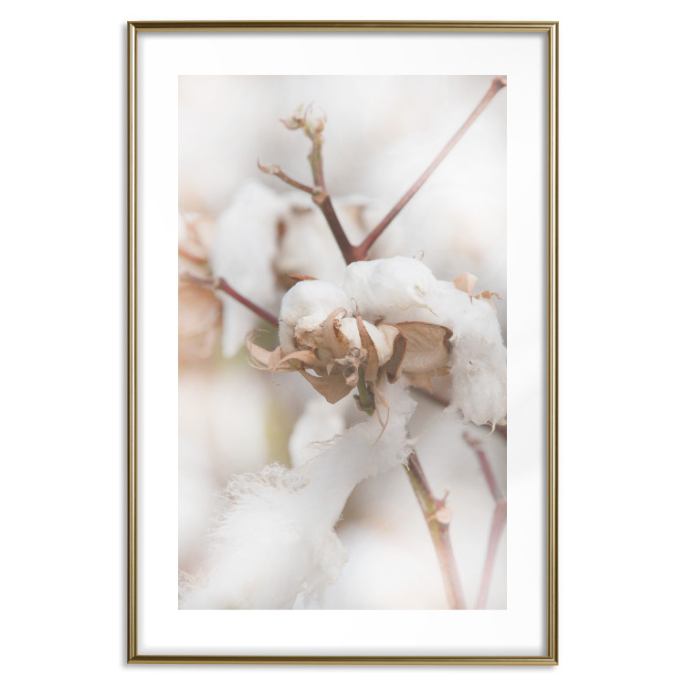 Poster Cotton Twigs - Natural Plant Photo in the Style of a Boho 146435 additionalImage 19