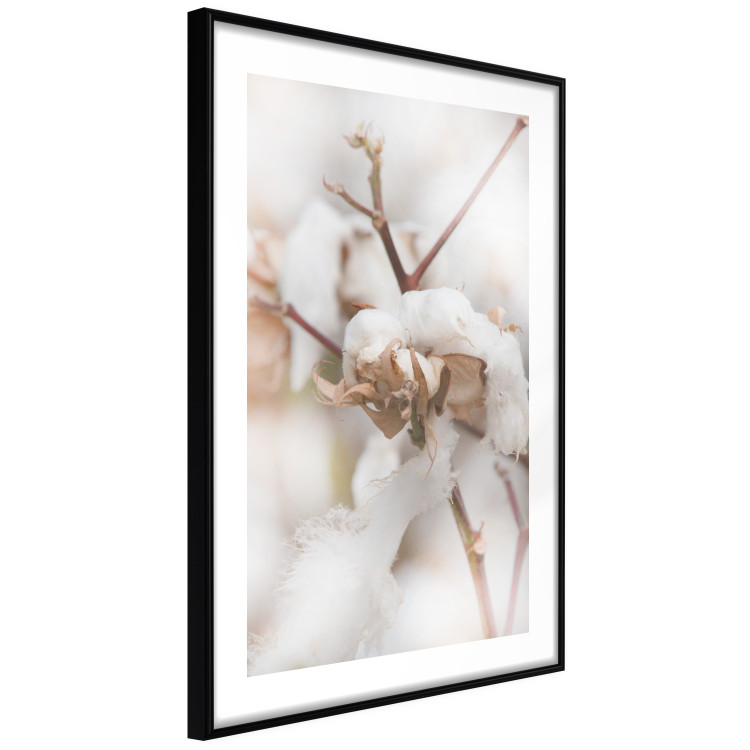 Poster Cotton Twigs - Natural Plant Photo in the Style of a Boho 146435 additionalImage 8