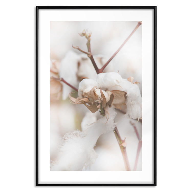 Poster Cotton Twigs - Natural Plant Photo in the Style of a Boho 146435 additionalImage 20
