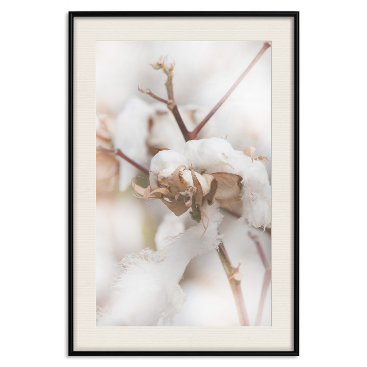 Poster Cotton Twigs - Natural Plant Photo in the Style of a Boho 146435 additionalImage 24