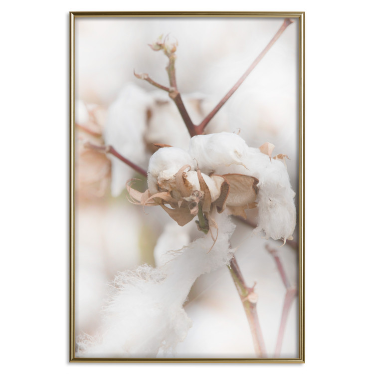 Poster Cotton Twigs - Natural Plant Photo in the Style of a Boho 146435 additionalImage 16