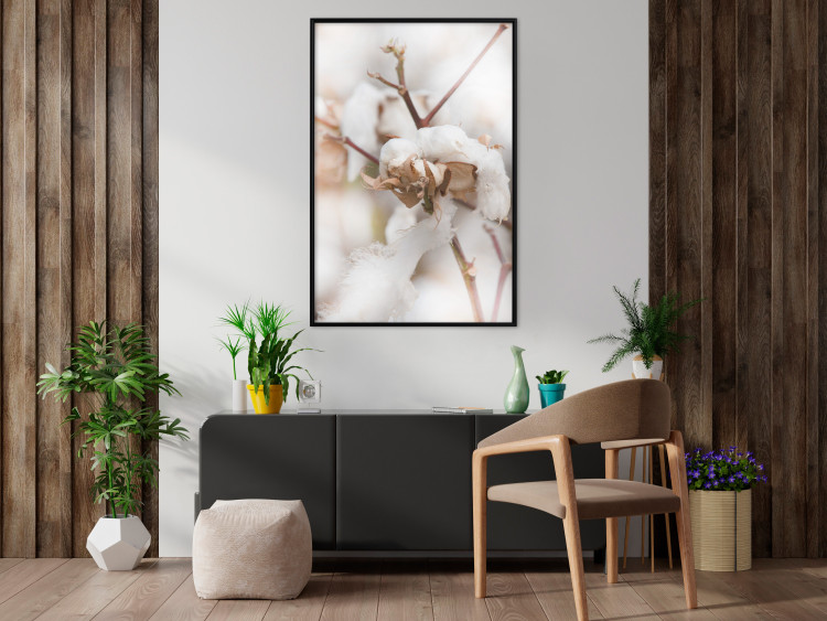 Poster Cotton Twigs - Natural Plant Photo in the Style of a Boho 146435 additionalImage 9