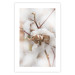 Poster Cotton Twigs - Natural Plant Photo in the Style of a Boho 146435 additionalThumb 18