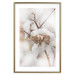 Poster Cotton Twigs - Natural Plant Photo in the Style of a Boho 146435 additionalThumb 19