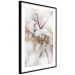 Poster Cotton Twigs - Natural Plant Photo in the Style of a Boho 146435 additionalThumb 9