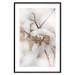 Poster Cotton Twigs - Natural Plant Photo in the Style of a Boho 146435 additionalThumb 20