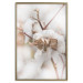 Poster Cotton Twigs - Natural Plant Photo in the Style of a Boho 146435 additionalThumb 16
