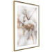 Poster Cotton Twigs - Natural Plant Photo in the Style of a Boho 146435 additionalThumb 4