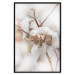 Poster Cotton Twigs - Natural Plant Photo in the Style of a Boho 146435 additionalThumb 21