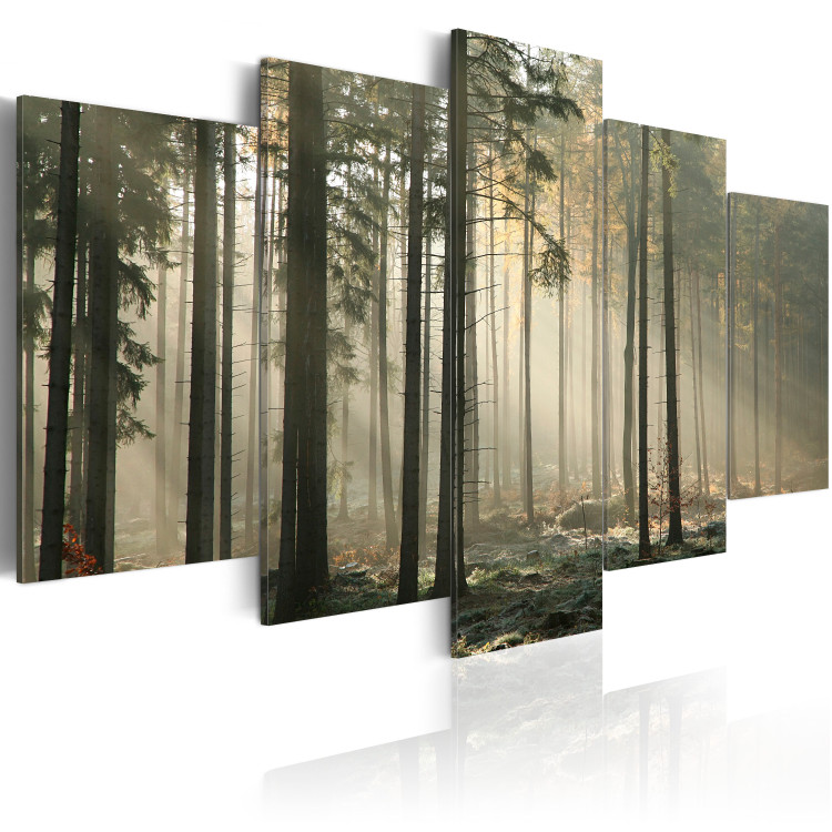 Canvas Art Print Light in a dark forest 49935 additionalImage 2