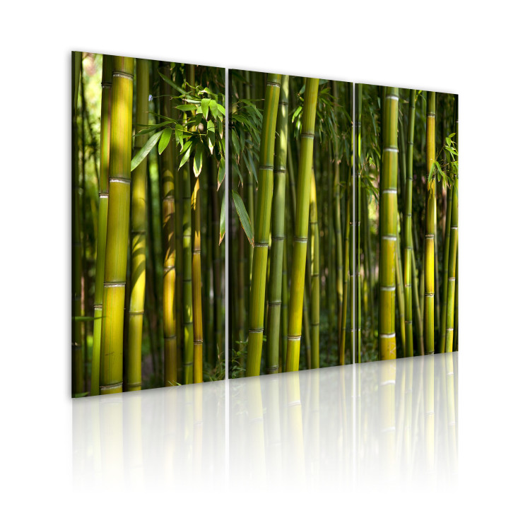 Canvas Print Green bamboo  58835 additionalImage 2