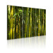 Canvas Print Green bamboo  58835 additionalThumb 2