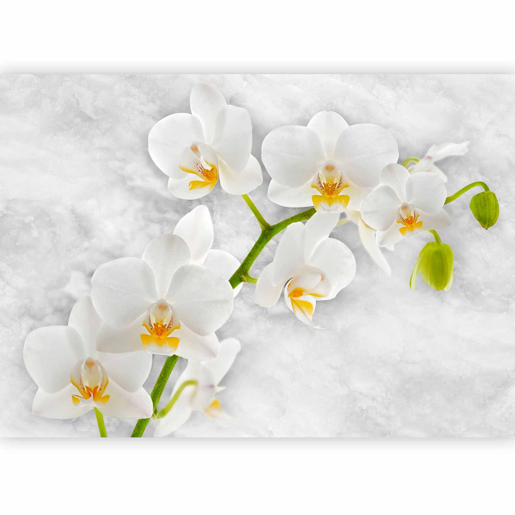 Wall Mural Lyrical Orchid - Bright Floral Motif in White with Green Elements 60235 additionalImage 5