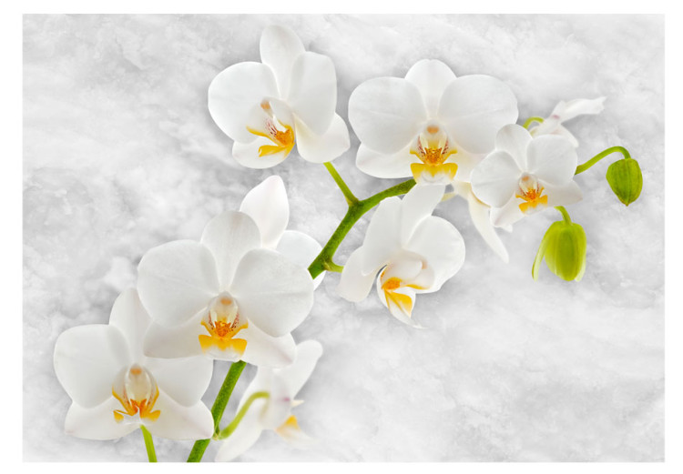 Wall Mural Lyrical Orchid - Bright Floral Motif in White with Green Elements 60235 additionalImage 1