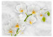 Wall Mural Lyrical Orchid - Bright Floral Motif in White with Green Elements 60235 additionalThumb 1
