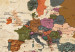 Cork Pinboard Maps: Brown Elegance [Cork Map] 96135 additionalThumb 6