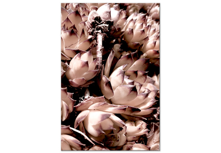 Canvas Art Print Romantic succulents - an artistic photo of a plant in pastels 122645