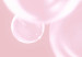 Poster Subtle Breeze - shiny soap bubbles flying on a pink background 122945 additionalThumb 9