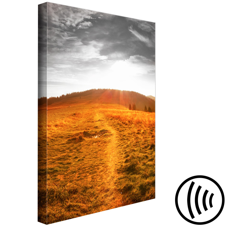 Canvas Print Bieszczady in the sun - photograph of mountain meadows in the sunshine 123845 additionalImage 6