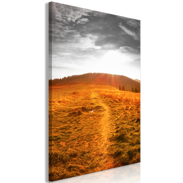 Canvas Print Bieszczady in the sun - photograph of mountain meadows in the sunshine 123845 additionalImage 2