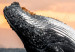 Canvas Emerging humpback whale - a whale against the setting sun 126245 additionalThumb 5