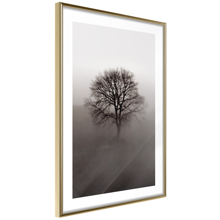 Wall Poster Power Dormant in a Tree - landscape of a leafless tree in thick fog 130245 additionalImage 7