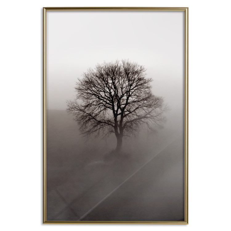 Wall Poster Power Dormant in a Tree - landscape of a leafless tree in thick fog 130245 additionalImage 21