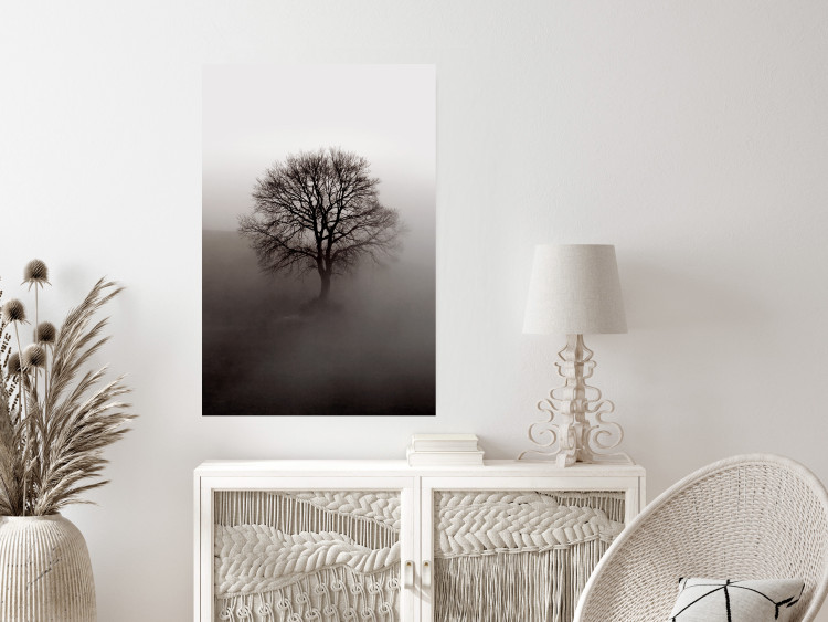 Wall Poster Power Dormant in a Tree - landscape of a leafless tree in thick fog 130245 additionalImage 4