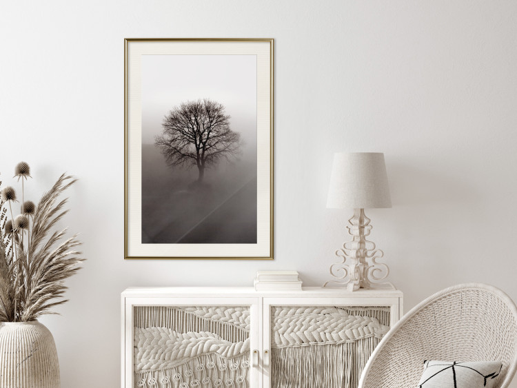 Wall Poster Power Dormant in a Tree - landscape of a leafless tree in thick fog 130245 additionalImage 22