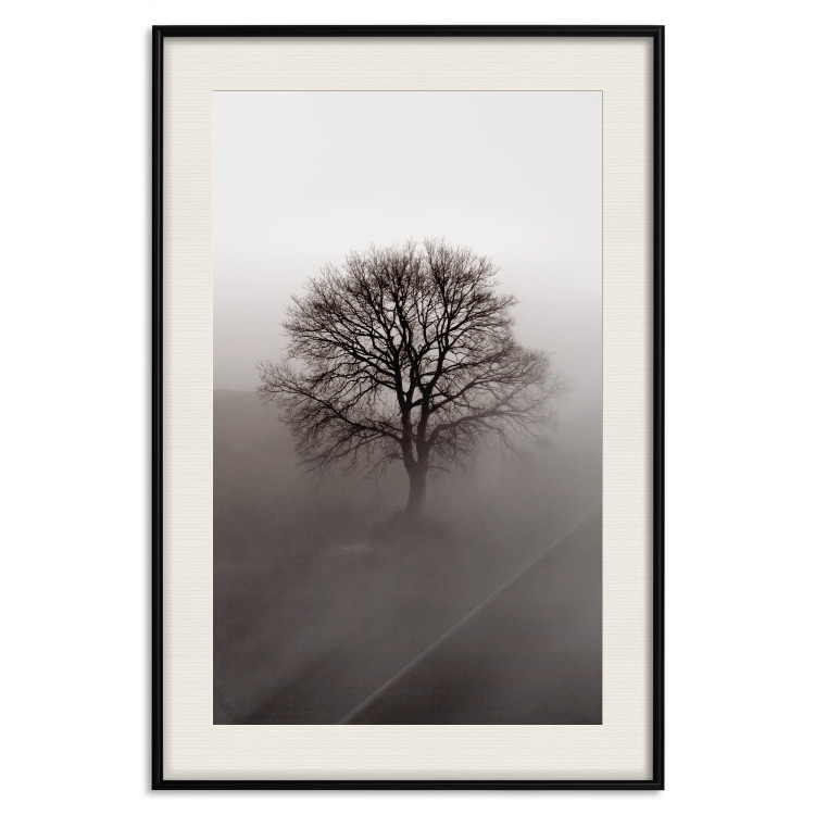 Wall Poster Power Dormant in a Tree - landscape of a leafless tree in thick fog 130245 additionalImage 19